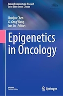 Epigenetics in Oncology (Cancer Treatment and Research) 2023rd Edition | اپی ژنتیک در انکولوژی (درمان سرطان و تحقیقات) نسخه 2023