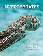 Invertebrates 4th Edition | بی مهرگان ویرایش چهارم