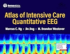 Atlas of Intensive Care Quantitative EEG 1st Edition | اطلس مراقبت های ویژه EEG کمی ویرایش اول