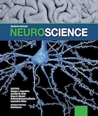 Neuroscience 7th Edition | علوم اعصاب ویرایش هفتم