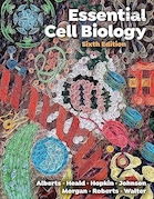 Essential Cell Biology (Sixth Edition) | زیست شناسی سلولی و مولکولی آلبرتس