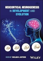 Neocortical Neurogenesis in Development and Evolution 1st Edition | نوروژنز نئوکورتیکال در توسعه و تکامل