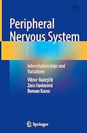 Peripheral Nervous System: Interrelationships and Variations | سیستم عصبی محیطی: روابط متقابل و تغییرات