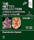 The Netter Collection of Medical Illustrations: Reproductive System, Volume 1 | مجموعه نتر از تصاویر پزشکی: سیستم تولید مثل، جلد اول