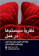 نظریه سیستم  ها در عمل