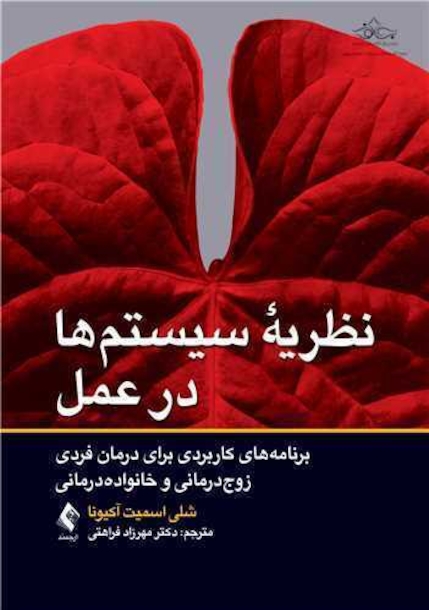 نظریه سیستم  ها در عمل