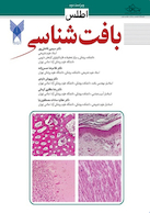 اطلس بافت شناسی حسن زاده (ویراست دوم)