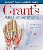 Grant's Atlas of Anatomy Sixteenth | شانزدهمین اطلس آناتومی گرانت