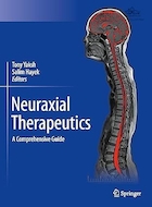 Neuraxial Therapeutics: A Comprehensive Guide 1st ed | درمان عصبی محوری: راهنمای جامع ویرایش اول