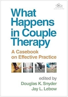 What Happens in Couple Therapy: A Casebook on Effective Practice 1st Edition | آنچه در زوج درمانی اتفاق می افتد: کتاب موردی در مورد تمرین موثر ویرایش اول