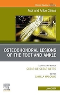 Osteochondral Lesions of the Foot and Ankle, An issue of Foot and Ankle Clinics of North America | ضایعات استئوکندرال پا و مچ پا، شماره ای از کلینیک های پا و مچ پا آمریکای شمالی
