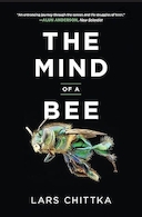 The Mind of a Bee | ذهن یک زنبور