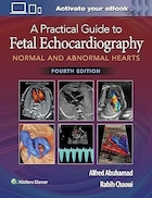 A Practical Guide to Fetal Echocardiography: Normal and Abnormal Hearts Fourth Edition | راهنمای عملی اکوکاردیوگرافی جنین: قلب های طبیعی و غیرطبیعی، ویرایش چهارم