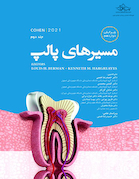 مسیرهای پالپ 2021 جلد دوم