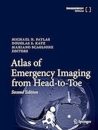 Atlas of Emergency Imaging from Head-to-Toe Second Edition | اطلس تصویربرداری اورژانس از سر تا پا، ویرایش دوم