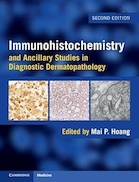 Immunohistochemistry and Ancillary Studies in Diagnostic Dermatopathology 2nd Edition | ایمونوهیستوشیمی و مطالعات جانبی در درماتوپاتولوژی تشخیصی، ویرایش دوم