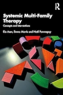 Systemic Multi-Family Therapy 1st Edition | درمان سیستمی چند خانواده، ویرایش اول