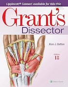 Grant's Dissector Eighteenth | کالبدشکافی گرانت هجدهم
