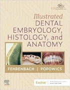 Illustrated Dental Embryology, Histology, and Anatomy 6th Edition | جنین شناسی، بافت شناسی و آناتومی دندان مصور، ویرایش ششم