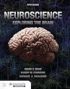Neuroscience: Exploring the Brain 5th Edition | علوم اعصاب: کاوش در مغز، ویرایش پنجم