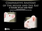Comparative Anatomy of the Mouse and the Rat: A Color Atlas and Text 1st Edition | آناتومی مقایسه ای موش و موش صحرایی: اطلس رنگی و متن، ویرایش اول