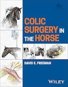 Colic Surgery in the Horse | جراحی قولنج در اسب