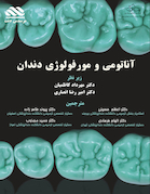 آناتومی و مورفولوژی دندان
