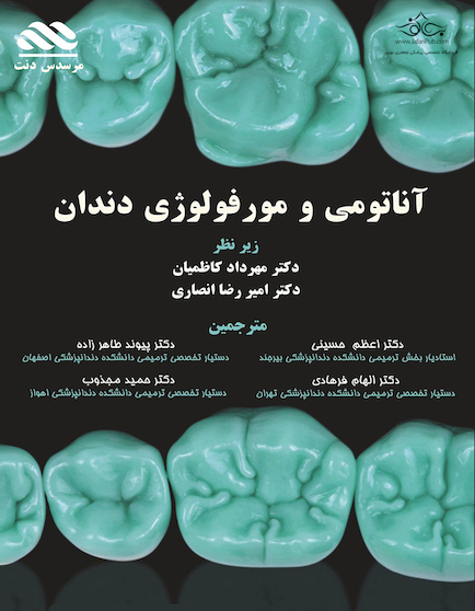 آناتومی و مورفولوژی دندان