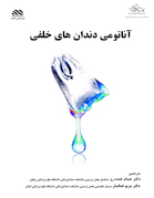 آناتومی دندان های خلفی