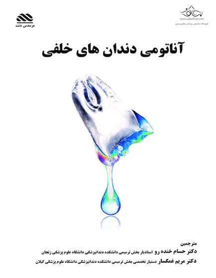 آناتومی دندان های خلفی